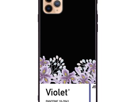 #18-3943 Blue Iris I iPhone 11 Pro Glass Case Discount